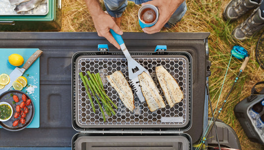 Fish and asparagus on the grill